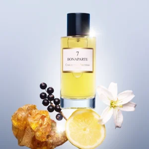 BONAPARTE EDP - Obrázek 2